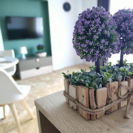 Apartament Karpaty クリニツァ・ズドルイ エクステリア 写真