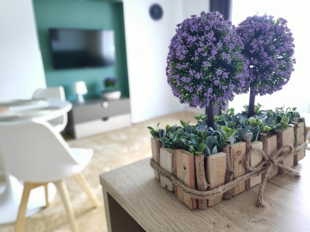 Apartament Karpaty クリニツァ・ズドルイ エクステリア 写真